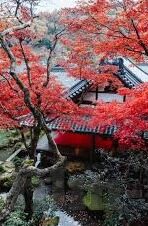 视频一区二区三区-视频一区二区三区的多元化视角与内容探索